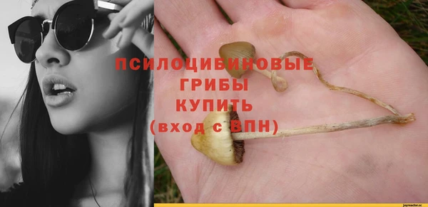 ALPHA-PVP Бугульма
