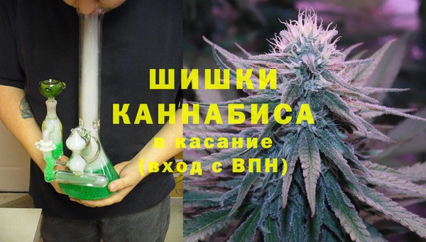 СК Семикаракорск