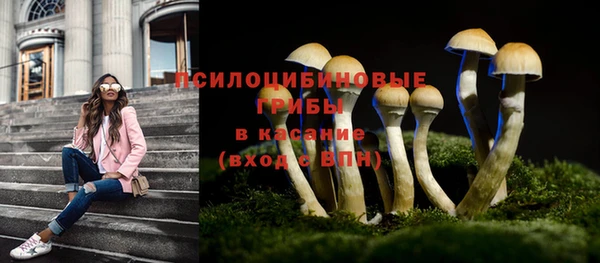 хмурый Богородицк