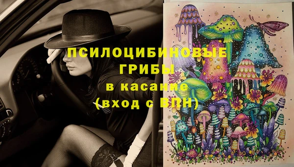 хмурый Богородицк