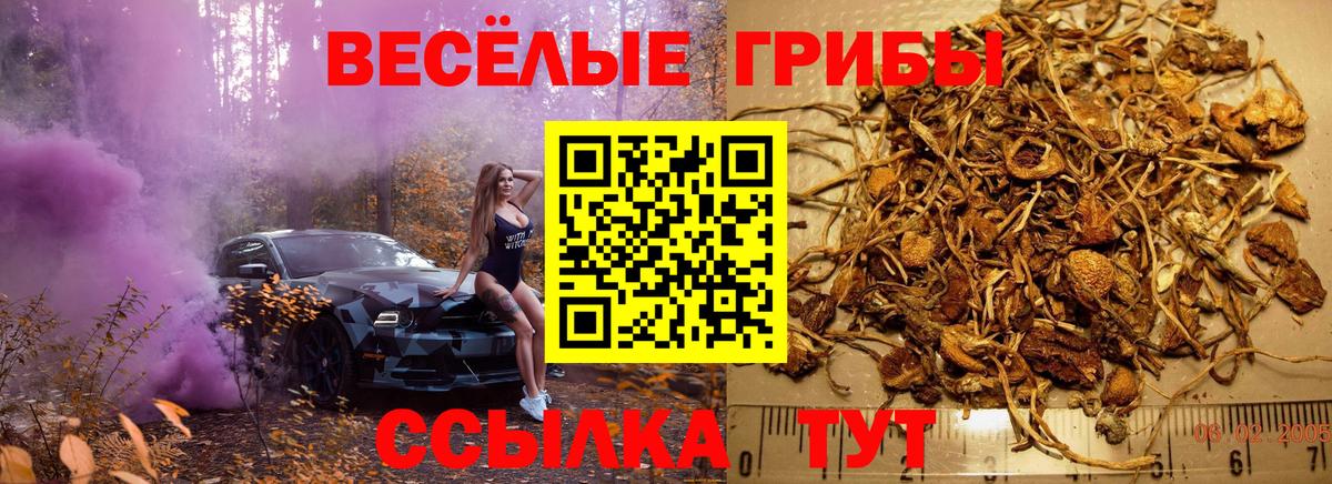 Псилоцибиновые грибы мицелий Свободный