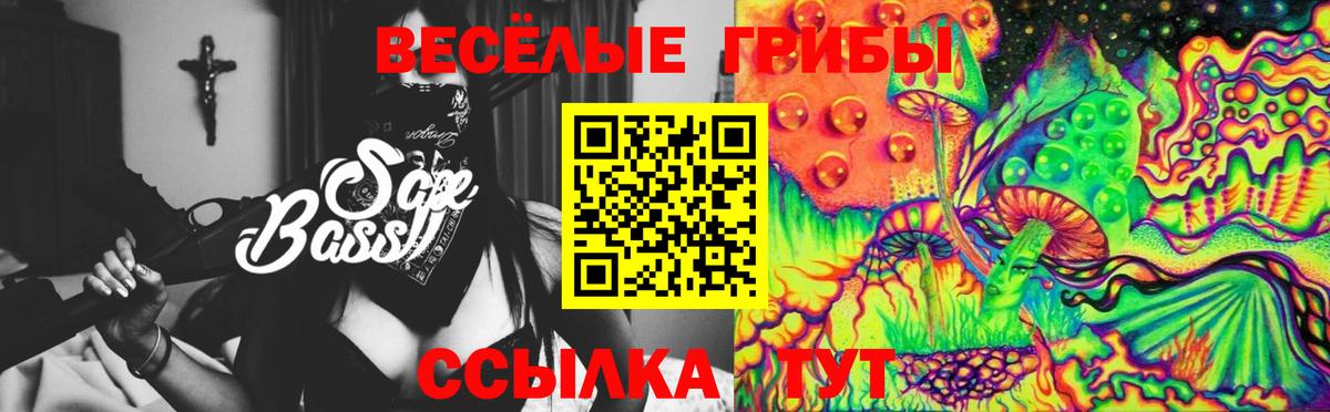 Псилоцибиновые грибы MAGIC MUSHROOMS  Вход с VPN  Свободный  где продают   Галлюциногенные грибы мицелий 